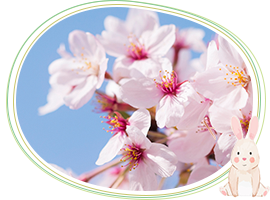 04月　- April -