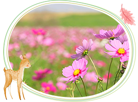 09月　- September -